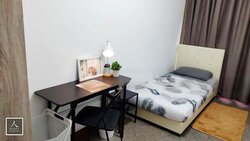 Parc Vista (D22), Condominium #455843441